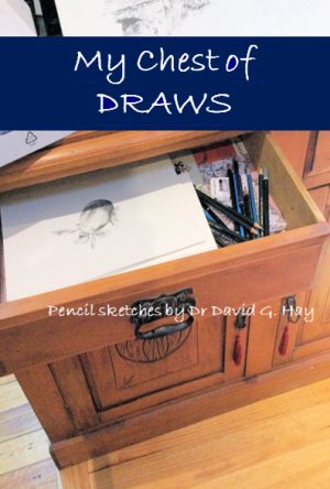 My Chest of Draws - Pencil sketches by Dr David G Hay