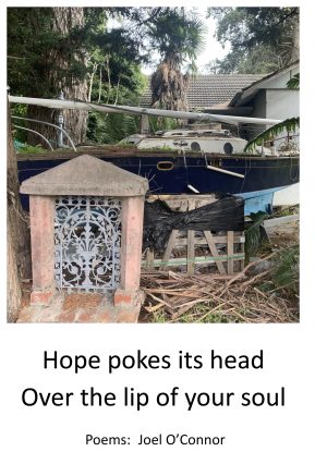 Hope pokes its head over the lip of your soul