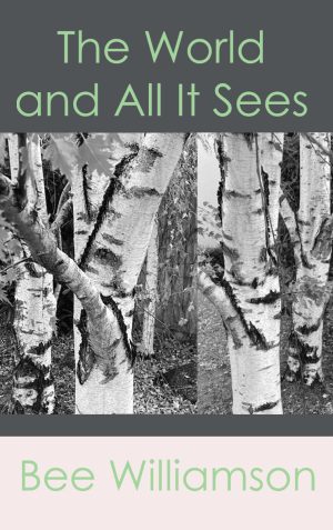 The World and All It Sees
